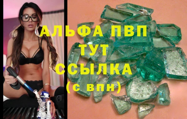гидропоника Алзамай