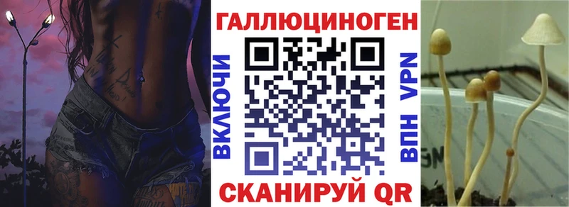 Псилоцибиновые грибы прущие грибы  где продают наркотики  Жирновск 